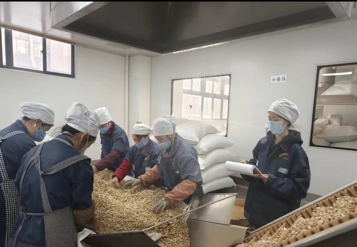 Společnost Qingdao Biohoer Biotech Co., Ltd. oficiálně zahájila výstavbu