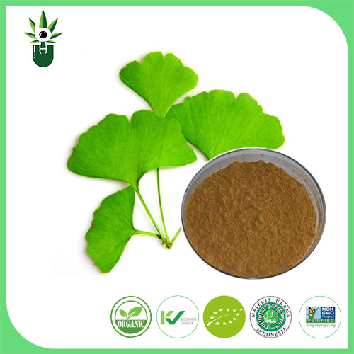 Extrakt z Ginkgo Biloba